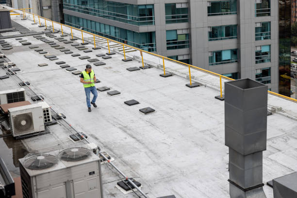 Trusted Duson, LA Roofing Service Experts