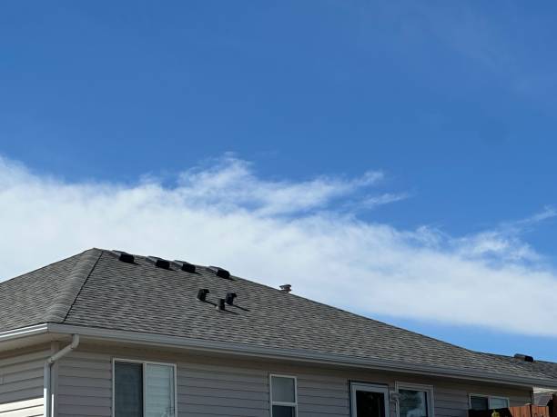 Best Gutter Installation and Repair  in Duson, LA